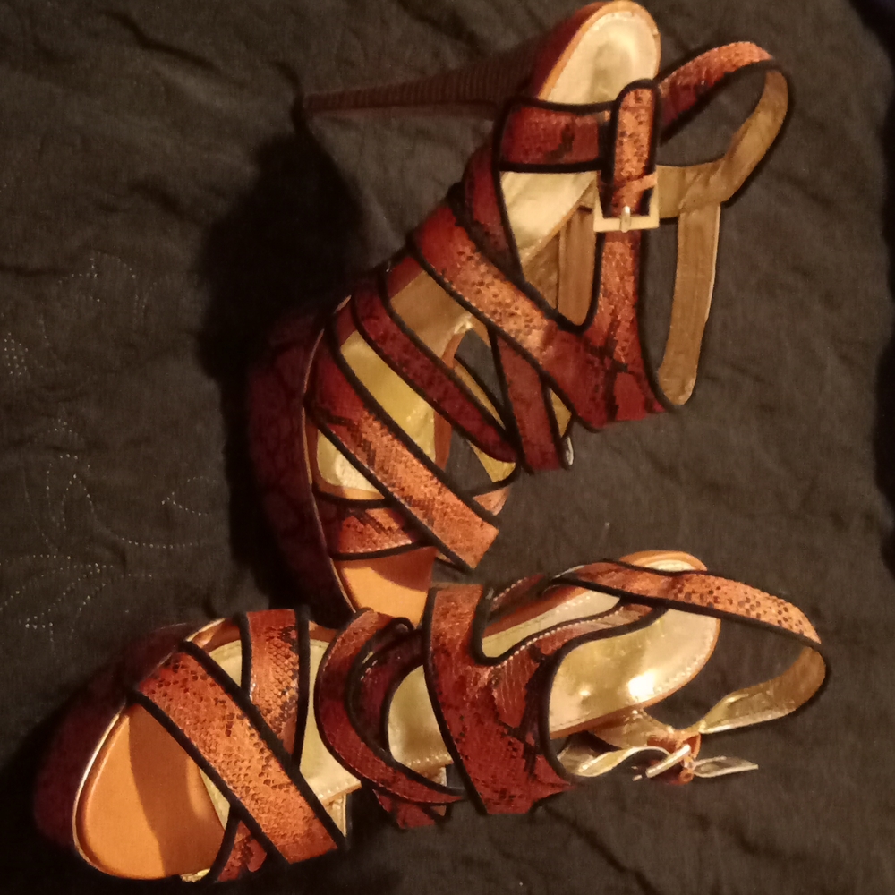 Wild Heels - image 1